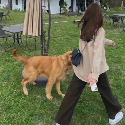 虹猫蓝兔七侠传